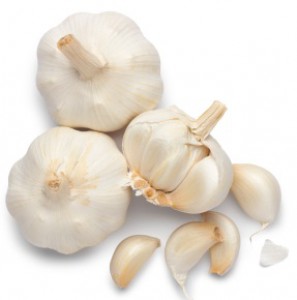 garlic1.jpg