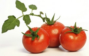 fresh-tomatoes1.jpg