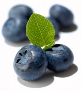 973blueberries.jpg